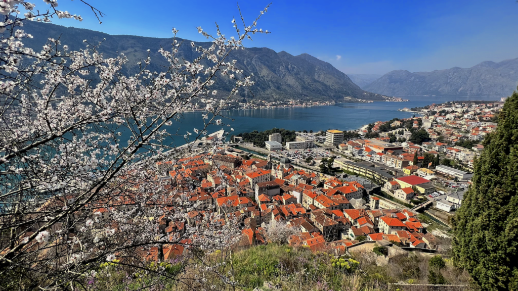 Kotor Old Town