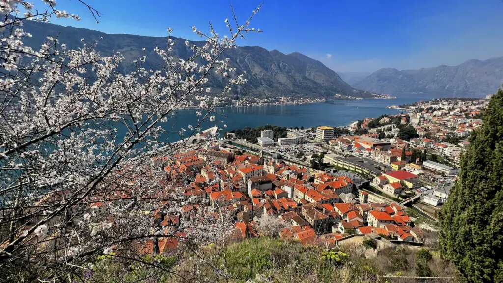 Kotor town and surrounding landscape in spring